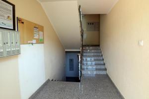 Apartman Cinkopan Premantura 1 