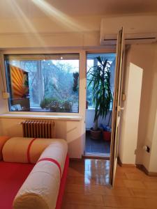 Comfy & Pleasant Apartment 10 min walk to Downtown