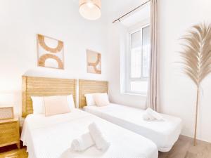 Casa Natura Central Market