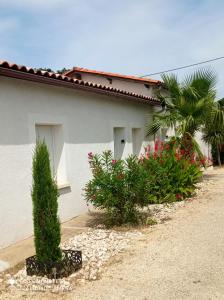 Appartements Studio avec terrasse amenagee et wifi a Bergerac : photos des chambres