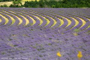 Sejours a la campagne Les Terrasses - Gordes : photos des chambres