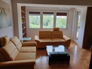 Luxury Park Apartment