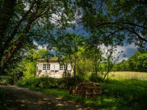 Maisons de vacances Gite La Folie : photos des chambres