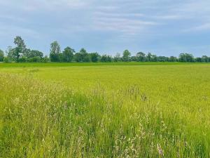 8 person holiday home in LÖTTORP-By Traum