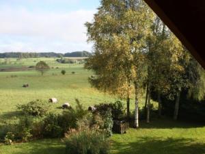 Maisons de vacances Gite Le Val-d'Ajol, 4 pieces, 5 personnes - FR-1-589-597 : photos des chambres