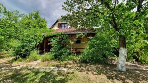 Holiday home in Siofok - Balaton 43123