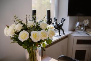 Apartament Nad Kanałem