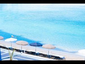 Appartements Studio Bandol Centre 2 etoiles ideal emplacement : photos des chambres