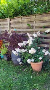 Maisons de vacances Le Jardin des Murmures : photos des chambres