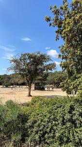 Vue lac avec accès piscine à vague