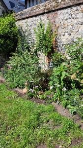 Maisons de vacances Le Jardin des Murmures : photos des chambres