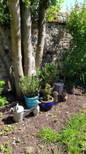 Maisons de vacances Le Jardin des Murmures : photos des chambres