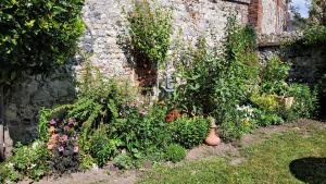 Maisons de vacances Le Jardin des Murmures : photos des chambres