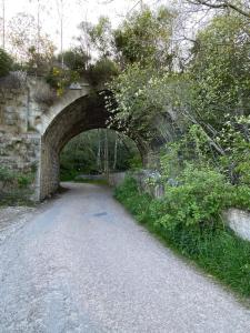 Perfect for country lovers