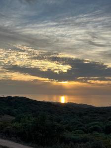 Isola Rossa Appartamenti Paduledda img31