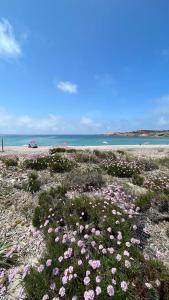 Isola Rossa Appartamenti Paduledda img39