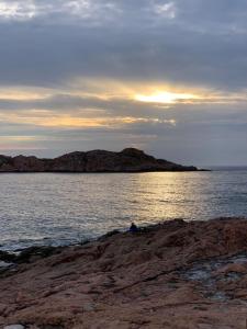 Isola Rossa Appartamenti Paduledda img50