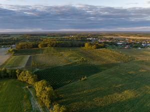 Winnica Anna Noclegi