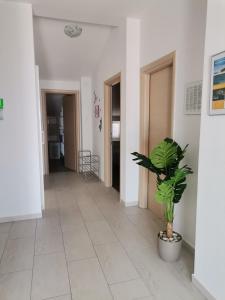 Apartments Permida