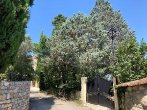 Maisons de vacances Gite du mas du Belbuis : photos des chambres