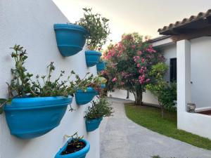 Podere Cala Viola img36