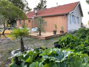 Maisons de vacances Maison au Bord de l'eau : photos des chambres