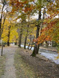 Appartements Fantastic Ground Floor Apartment Opposite Thermes : photos des chambres