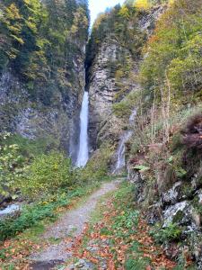 Appartements Fantastic Ground Floor Apartment Opposite Thermes : photos des chambres