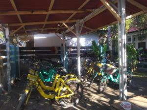 Ping Pong homestay Gili Trawangan