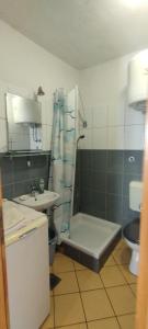 Appartement in einem dalmatischen Haus in Novigrad-Dalmatien neben Zadar