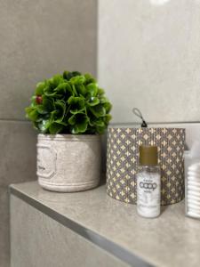 Central Vista Apartment by MIT