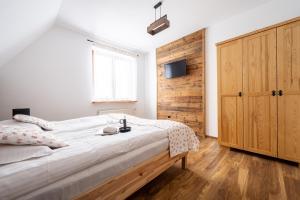 Apartament Witów
