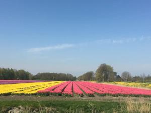 Farmvilla with hottub and outdoor kitchen