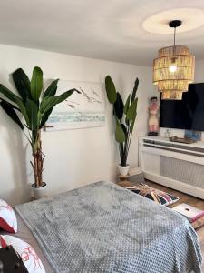 Appartements LA PLAGE : photos des chambres