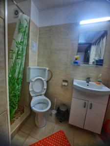 Alfa Apartament