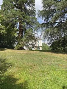 Entre les branches - Chargé