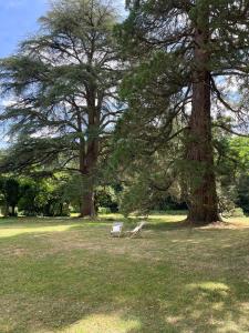 B&B / Chambres d'hotes Entre les branches : photos des chambres