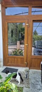 ToMario Studio apartment 