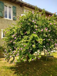 Appartements Pyrenees View : photos des chambres