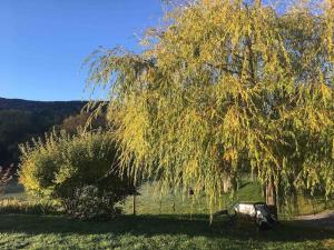 Maisons de vacances Gite « Le Faucon pelerin » Vue magnifique au calme : photos des chambres