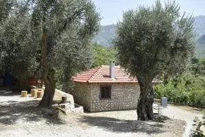 Hidden Olive Oasis - Zupci