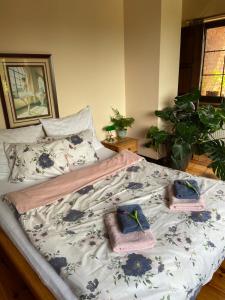 Noclegi na Mazurach.