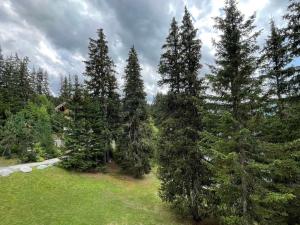 Studio 4 pers. à Méribel Altiport, pieds des pistes - FR-1-411-750