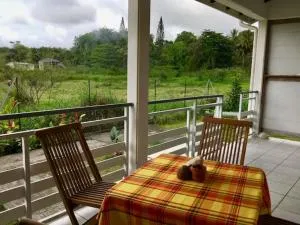 Kaz Alpinia - Garnier