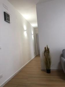 Mediterranea Apartment