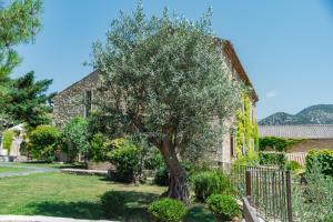 B&B / Chambres d'hotes La Bastide du Vieux Chene - LES COLLECTIONNEURS : photos des chambres