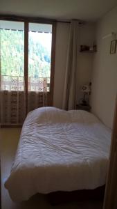 Appartements Studio 4 pers 18m2 au pied des pistes de ski a Valfrejus : photos des chambres