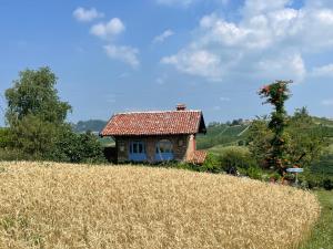 Villa Biancospino - luxury and private villa in Langhe