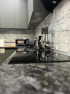 TEA Luxury Apartment