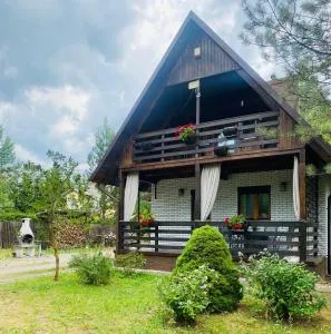 LAGO BLANCO - 戈斯蒂宁